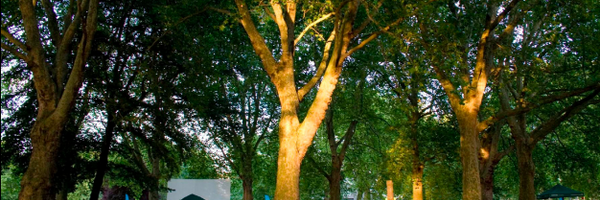 thetreecircle Profile Banner