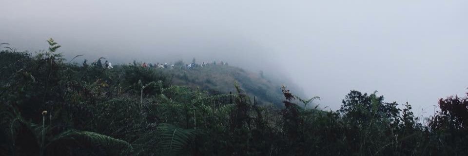 cher_ant's profile banner image
