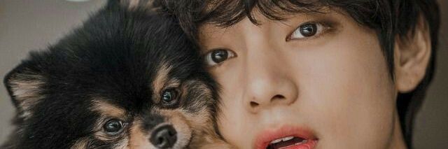 betsabe_cami's profile banner image