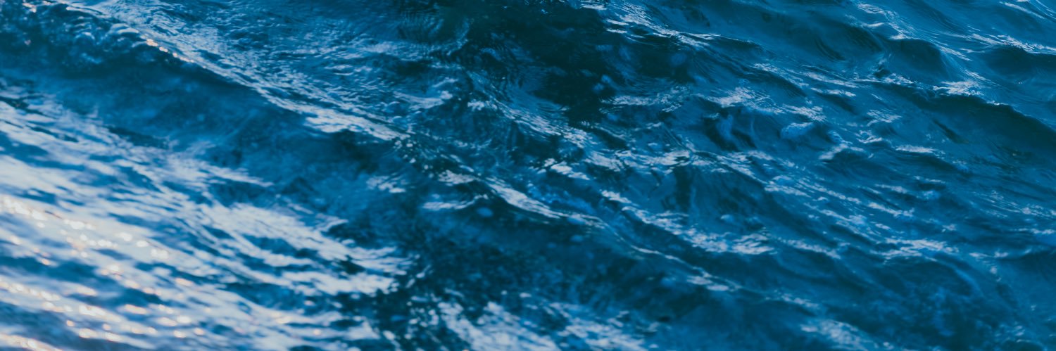 ratchimera's profile banner image