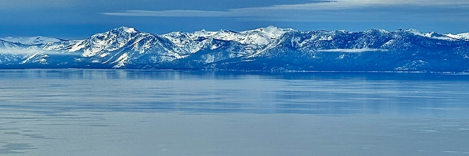 Yvette Clutterbuck banner