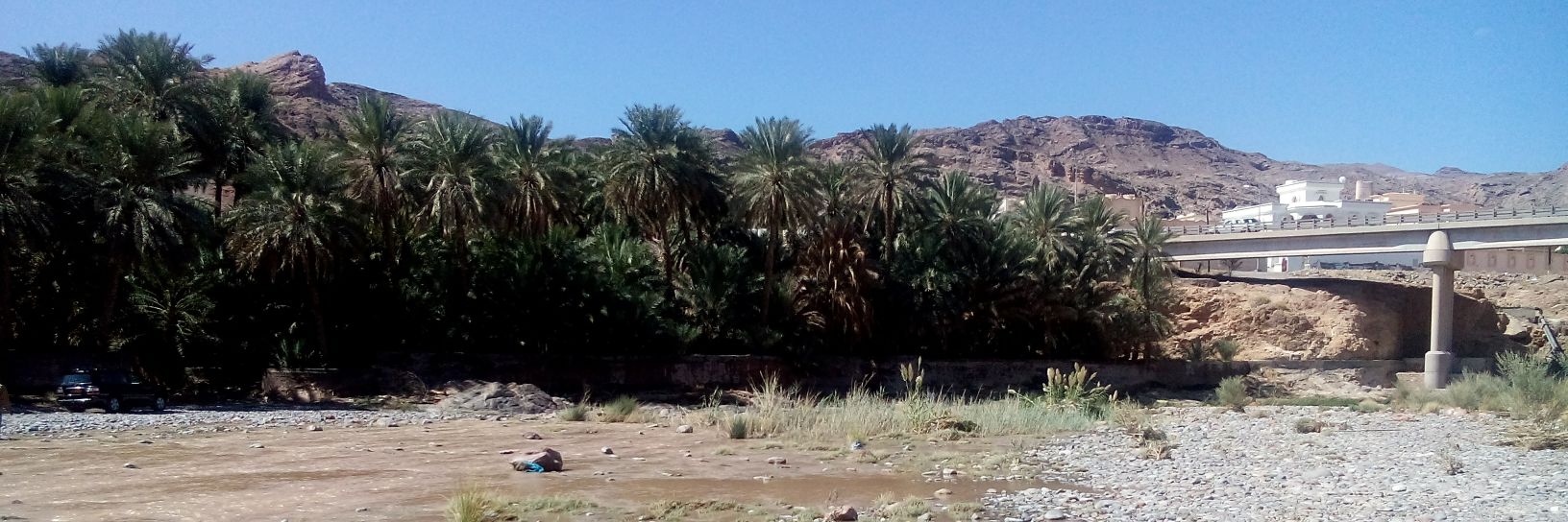 قاسم ( عقيدة القرآن والسنة) banner