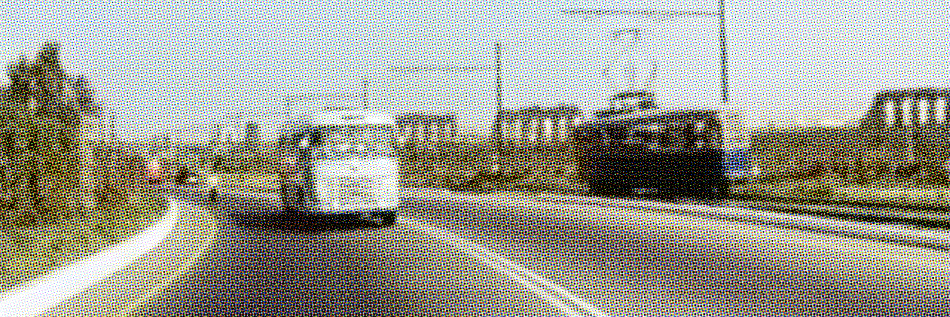 quartomiglio's profile banner image