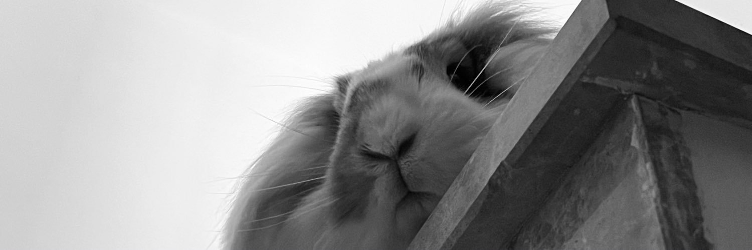Adri banner