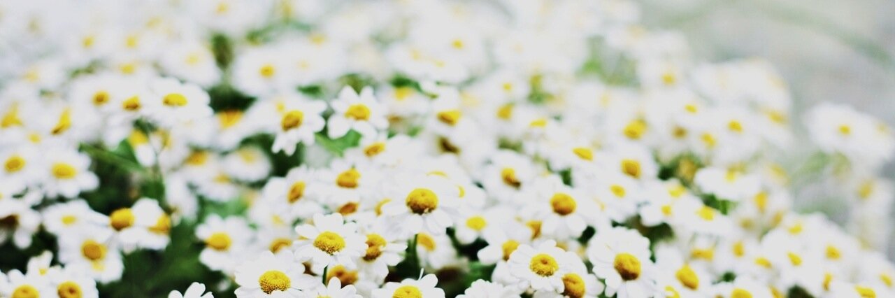 SimplySinova's profile banner image