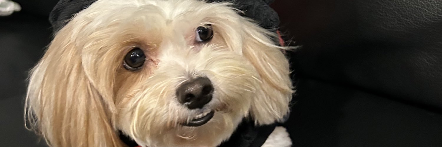 clrssealmgla's profile banner image