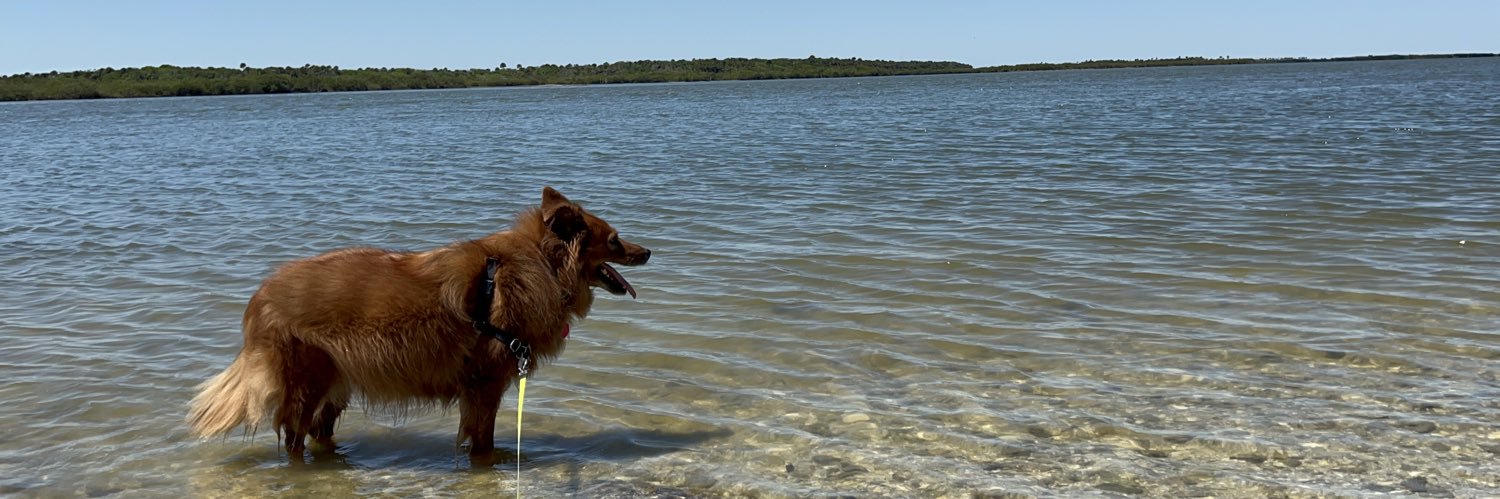 Luke Strominger banner