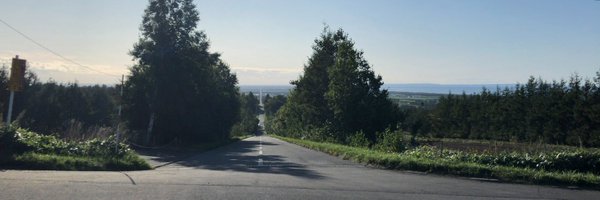 shinyorke Profile Banner