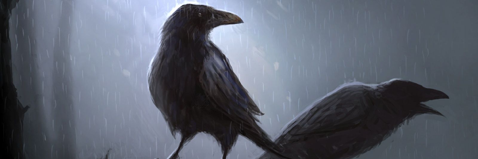 m_marconi's profile banner image