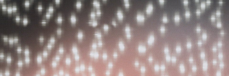 debaucherrie's profile banner image