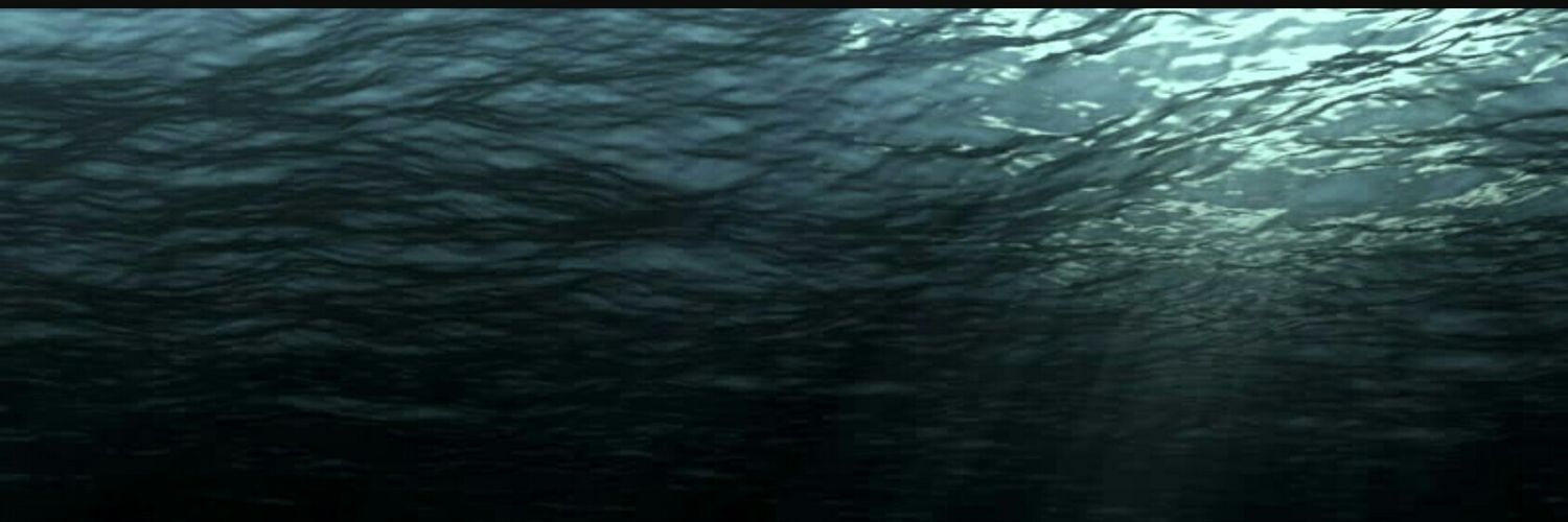 🐬TillicumsGhost👻 banner