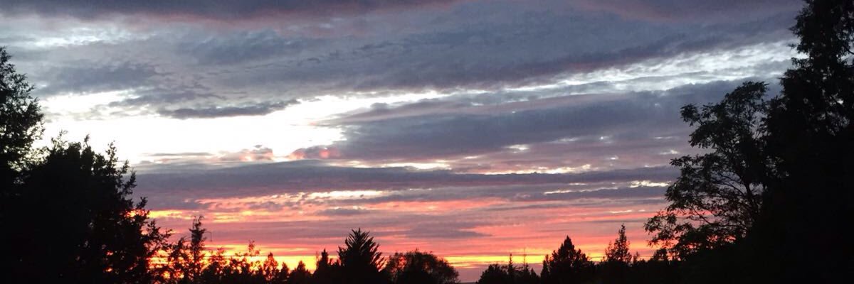 battoquio's profile banner image