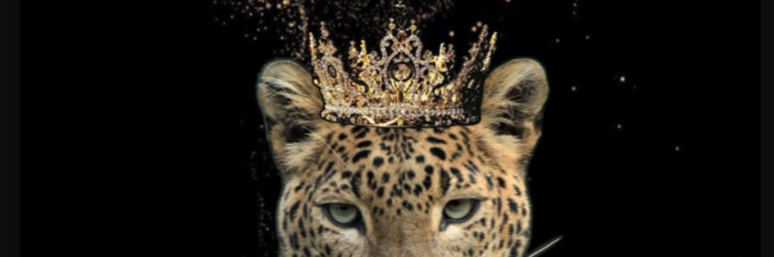 twitynana's profile banner image