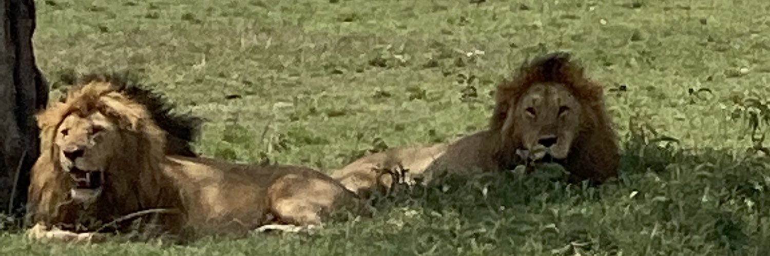 3x Capital 🇺🇸 banner