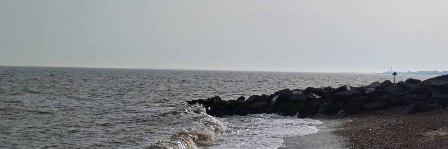 Daniel Johnson banner