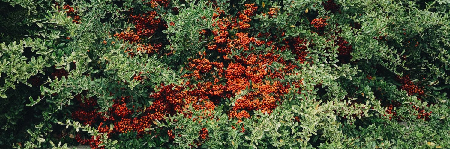 madi white :)) banner