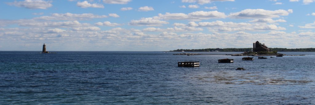 SeacoastResist's profile banner image