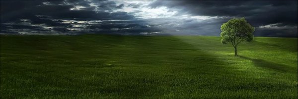 BotanicalShax Profile Banner