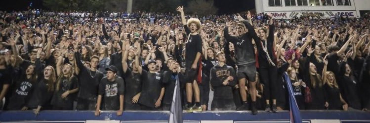 Cougar Crazies banner