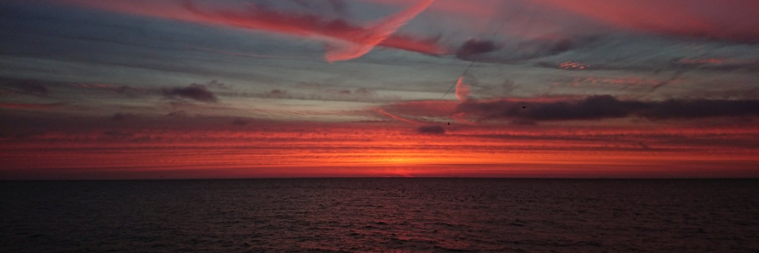 Letholdus 💙 banner