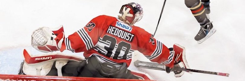 HobieHedquist's profile banner image