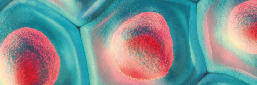 BEVA Journals banner