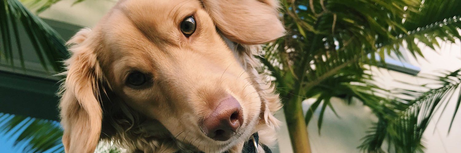 elleeebellee's profile banner image