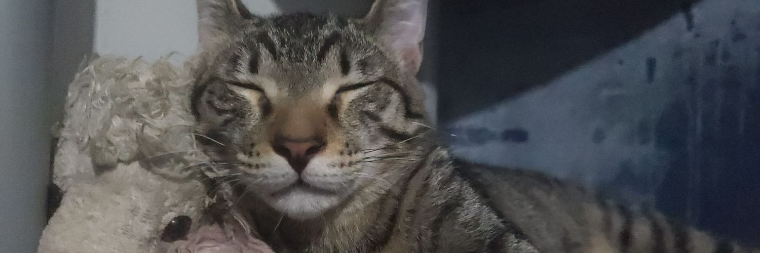 NicksPty's profile banner image