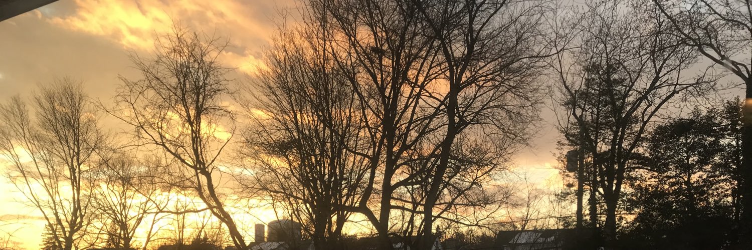 Betsy Maley Hasher banner