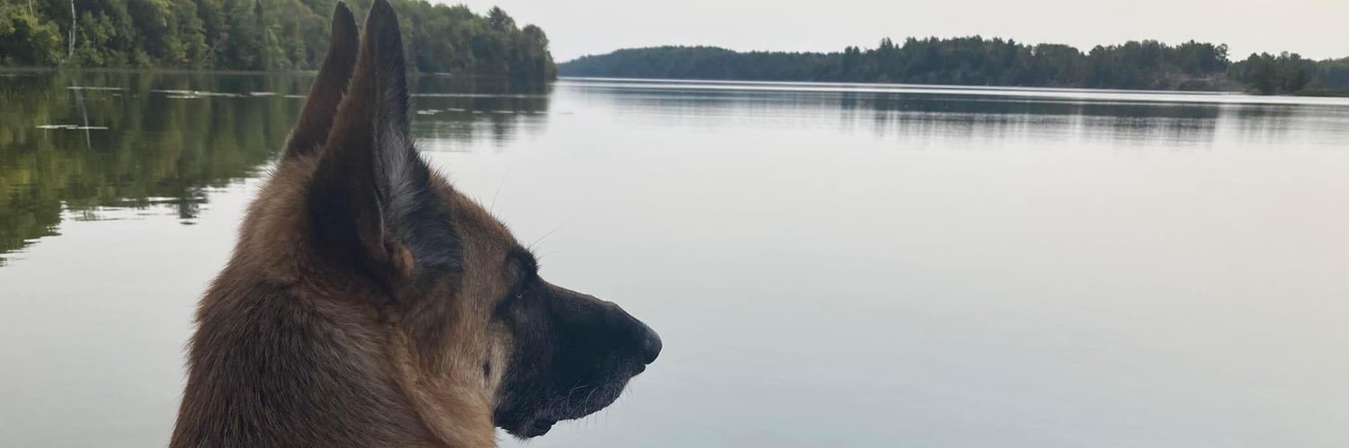 Brian Ellsworth banner