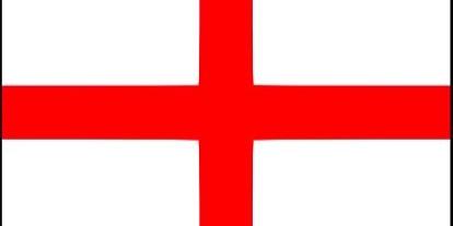 Steve johnson banner