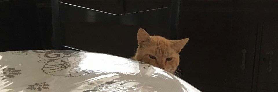 Deryfw's profile banner image