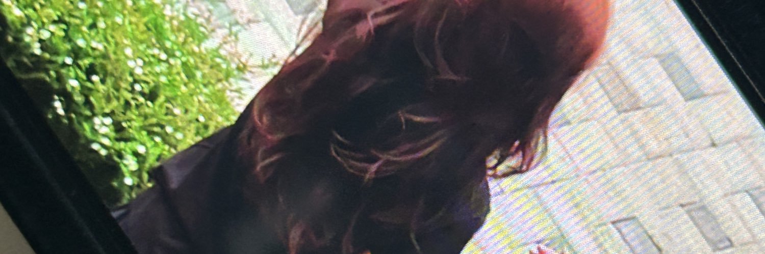 drizzleivy's profile banner image