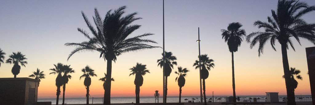 patrime28's profile banner image