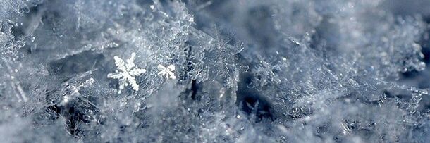 IcySapph's profile banner image