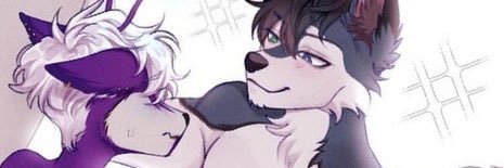 BorkHusky's profile banner image