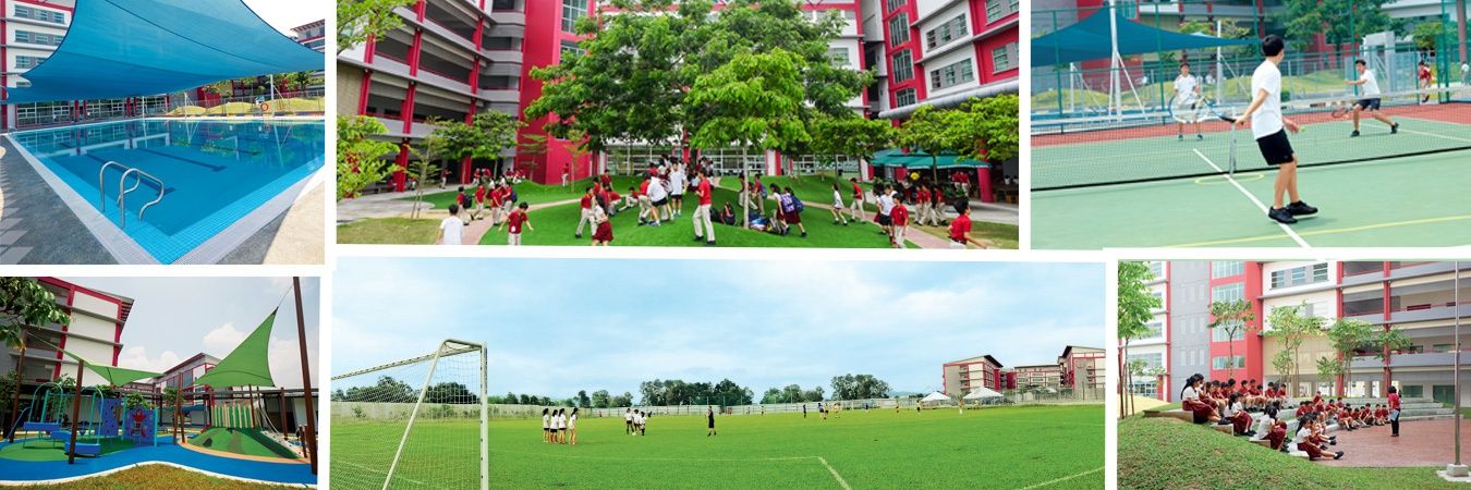 HIS PE & Sport banner