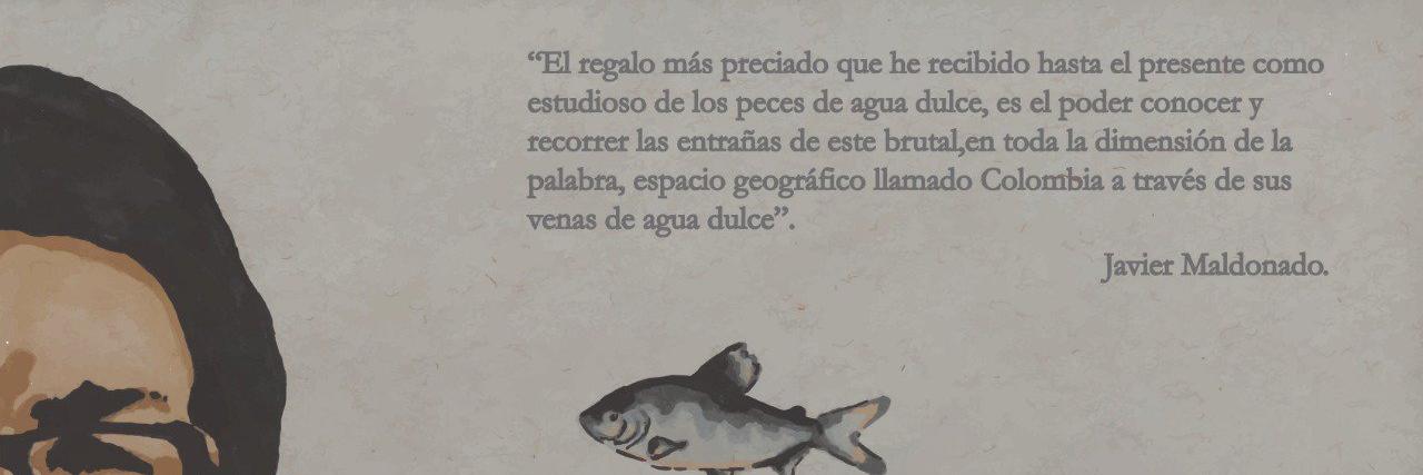 Guido A. Herrera-R, M.Sc banner