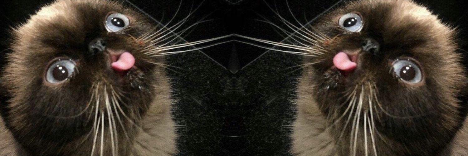 defDEF332's profile banner image