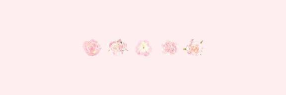 vera banner