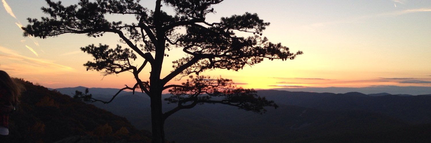 TSnock's profile banner image