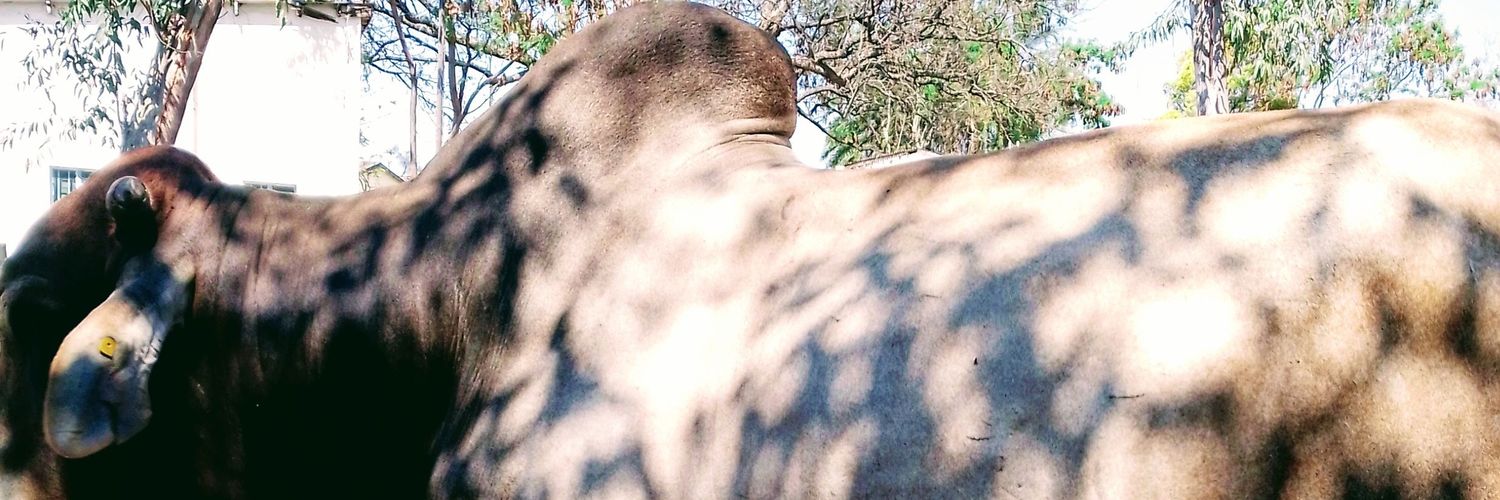 EdwardZhakata banner