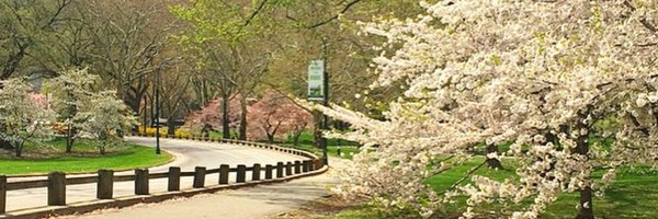 chartneey Profile Banner