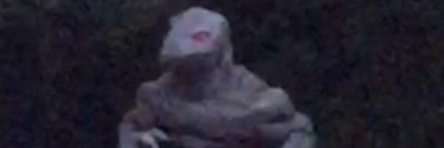 reallizardfact's profile banner image
