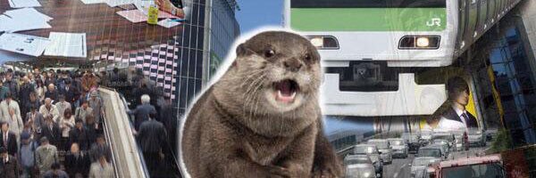 カワウソ祭 banner