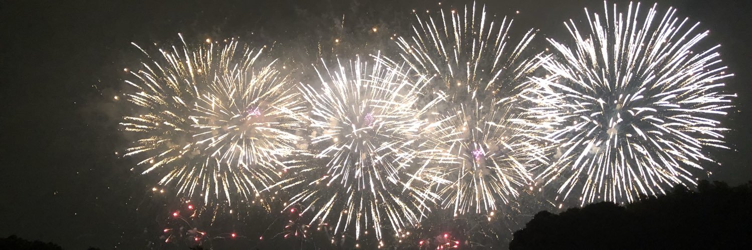 TsBK/つばき🌺 banner