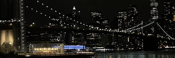 ladanai_ Profile Banner