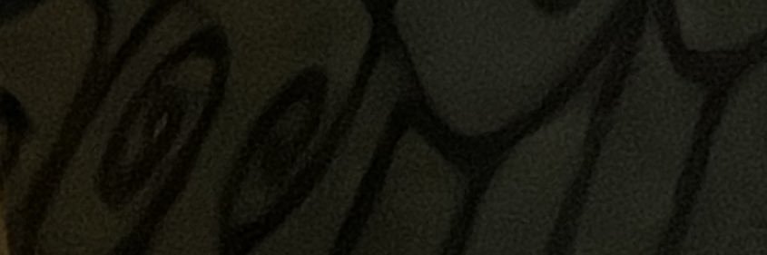 FlavioSainz__'s profile banner image