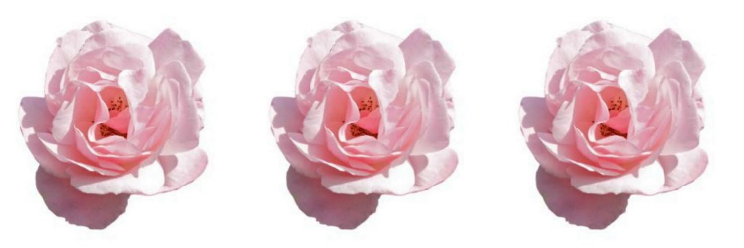 AlyssaMElliott's profile banner image