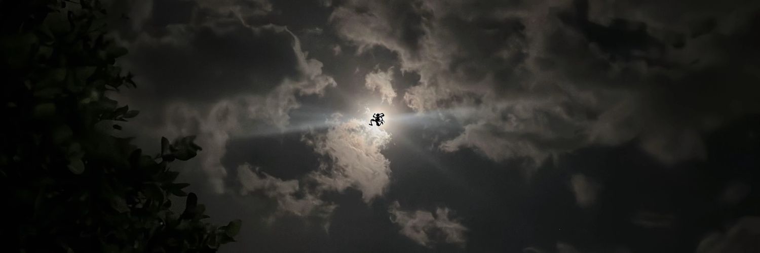 fxndavid's profile banner image